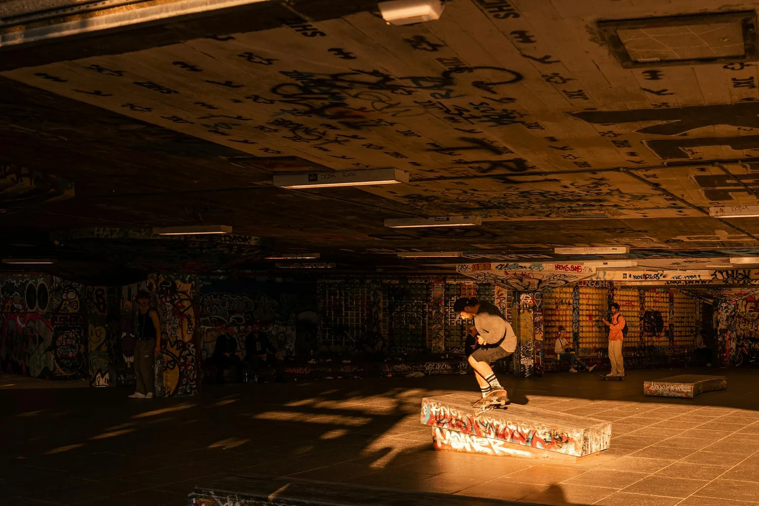 Module skatepark pour particulier : bien choisir son équipement